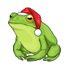 Frog Christmas Santa Hat