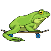 Frog Skater Skateboard Sport