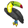 Toucan Inline skating Inline skates