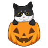 Citrouille d’Halloween Cat