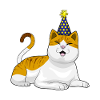 Chapeau de fête de chat