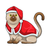 Cat Christmas Santa Hat