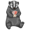 Cartes de poker Badger