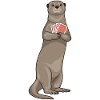 Otter Poker Poker Cards