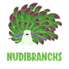 Nudibranches nudibranches