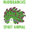 Nudibranches nudibranches