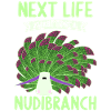 Nudibranches nudibranches