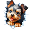 Suesser Yorkshire Terrier