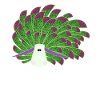 Nudibranches nudibranches