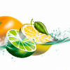 Citrus Splash