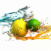Citrus Splash