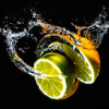 Citrus Splash