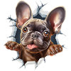 Mignon bouledogue français