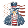 Thanksgiving American Pilgrim Turkey