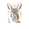 Esel Eselchen Maultier Muli
