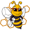 Cute bee wasp bumblebee