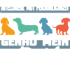Intelligenz Mut Persönlichkeit - mein Dackel