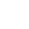 Dog Walker