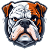 Cool bouledogue anglais