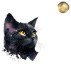 CAT AND THE MOON