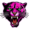 Panther Head Pink