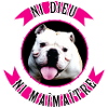 Anarchien rose 2