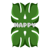 Happy Monstera