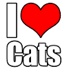 I love cats saying