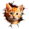 Chat mignon