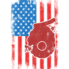 Patriotic U.S. Beekeeper