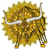 Kaleidoscope Longhorn 2023 12