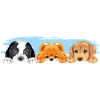 Hunde sind beste Freunde