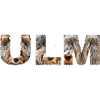 Ulm Hund