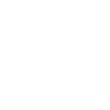 Enzo