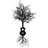 Guitar tree