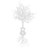 Guitar tree