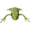 Grenouille