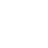 Biden 2024