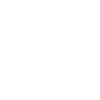 USA Flag Braap Master America