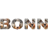 Bonn Hund