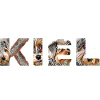 Kiel Hund