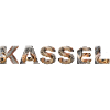 Kassel Hund