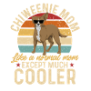 Chiweenie Dog