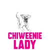 Chiweenie Dog