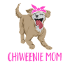 Chiweenie Dog
