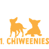 Chiweenie Dog