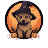 Halloween Hexenhut Kürbis Hund Deutscher