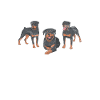 Rottweiler Gifts