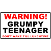 Grumpy Teenager - Don't Wake Till Lunchtime