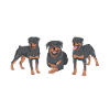Rottweiler Gifts